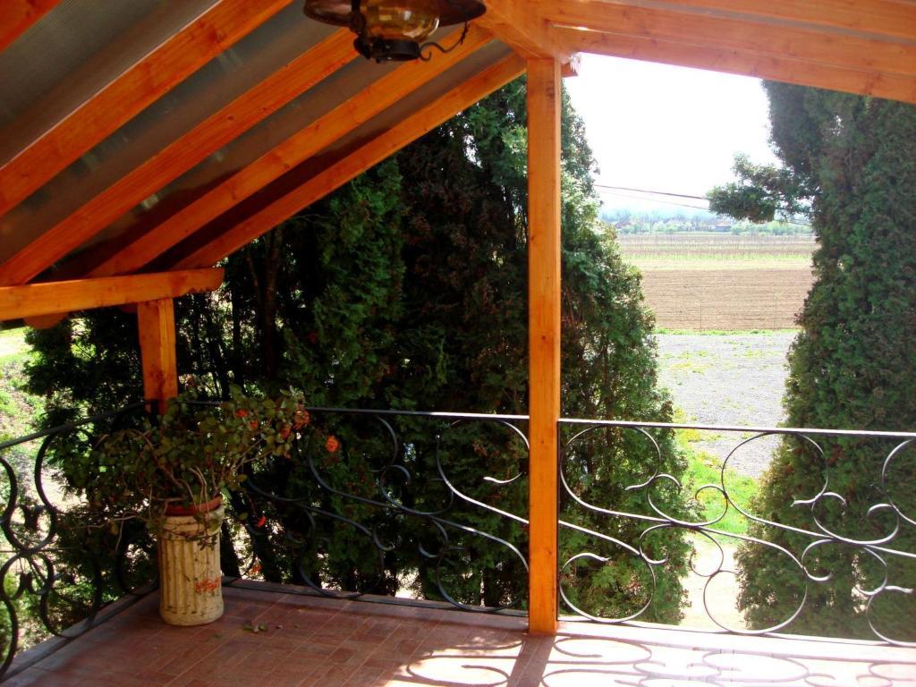 Pension La Taticu Sacalaseni Room photo